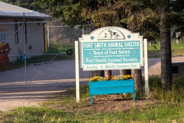 Fort Smith's animal shelter. Ollie Williams/Cabin Radio