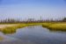 Parks Canada says it’s working on tailings threat to Wood Buffalo