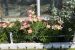 ‘Lovely way to spend an afternoon.’ Yellowknife garden tour set for Sunday