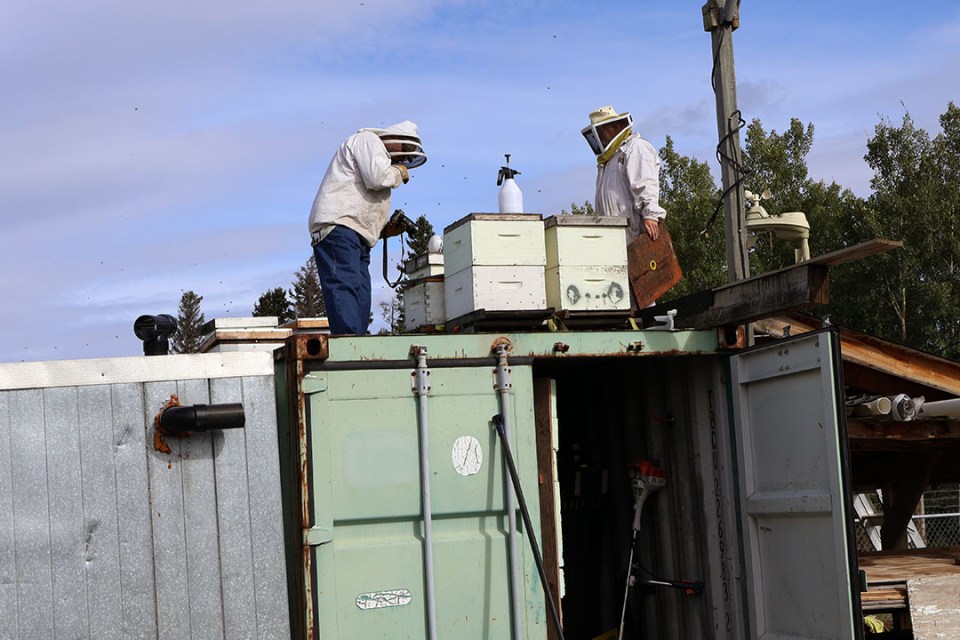 Two people in beekeeping suits tend to hives located on the roof of a metal shed.