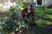 Fort Smith food producers wrestle with what the changing climate means